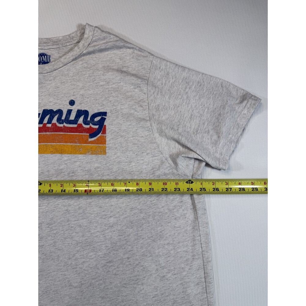 Wyoming Graphic T Shirt 2XL Oatmeal Heather Retro Stripe State Tee - Picture 5 of 6